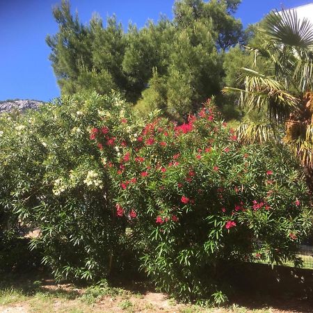 Sabina Apartments Omis Luaran gambar