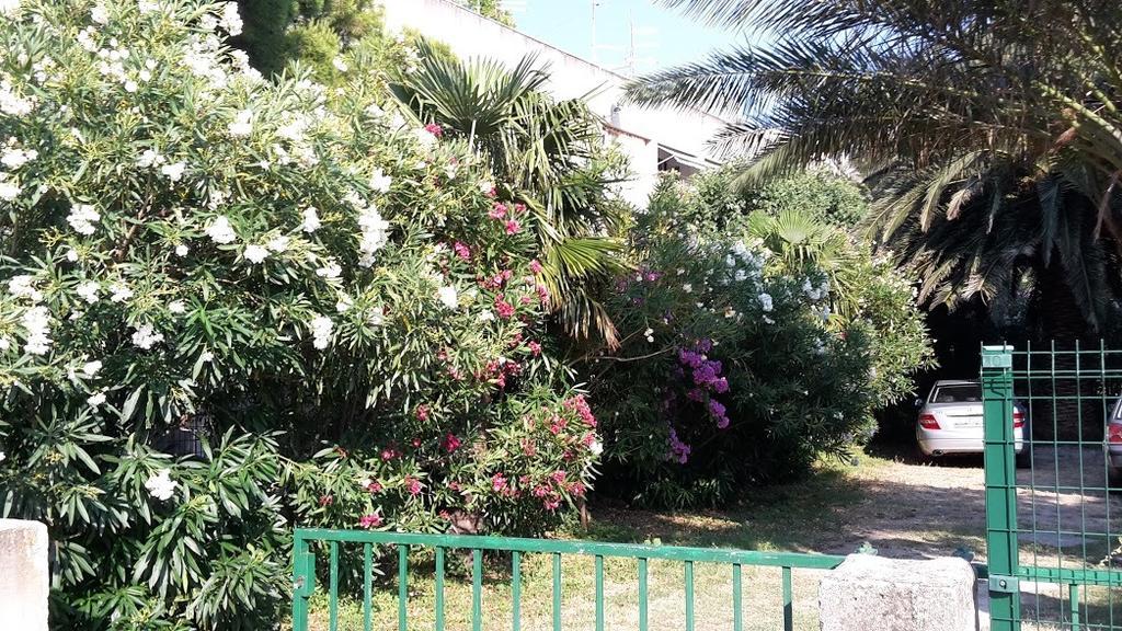 Sabina Apartments Omis Bilik gambar