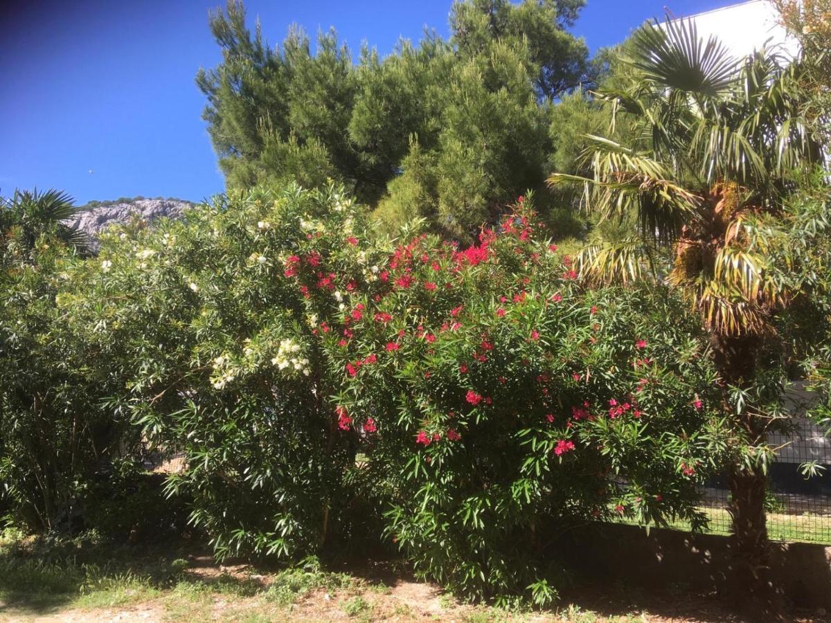 Sabina Apartments Omis Luaran gambar